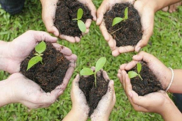 Green India Challenge promises to sweep India green
