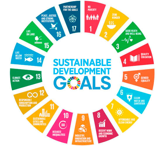 Taking SDGs from global to national to local level